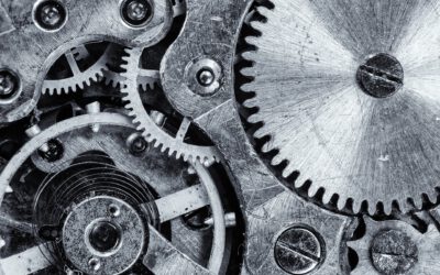 Rollenklarheit als Schlüssel für eine effiziente Verwaltung